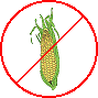 maize